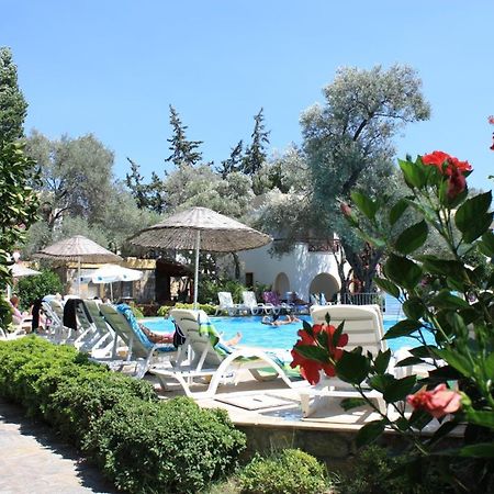 Toloman Bitezpark Apartments Αλικαρνασσός Εξωτερικό φωτογραφία